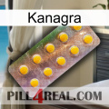 Kanagra new11